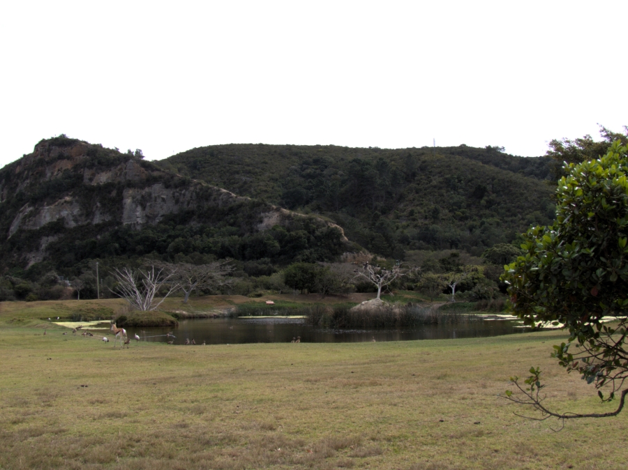 3 Bedroom Property for Sale in Twin Rivers Western Cape